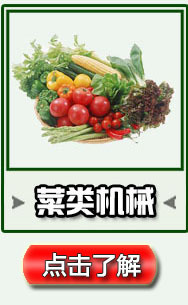 直销小型 豆芽根刀菜切割机仔姜毛竹笋切段机 厂家