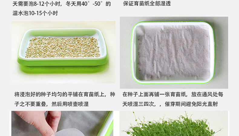 播种2.jpg