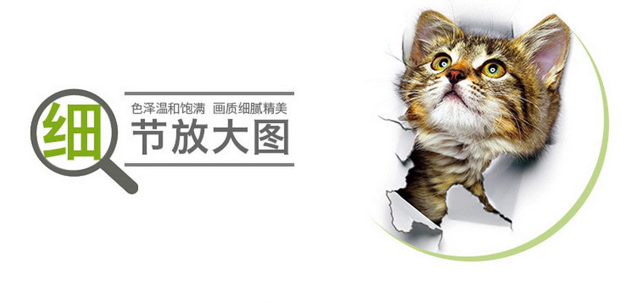 8283341151_1455170663