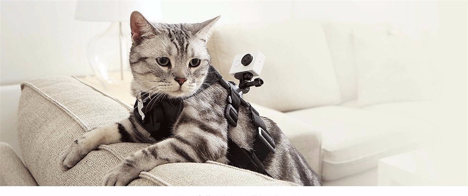 HTB1oNxIKFXXXXbfXXXXq6xXFXXXL_