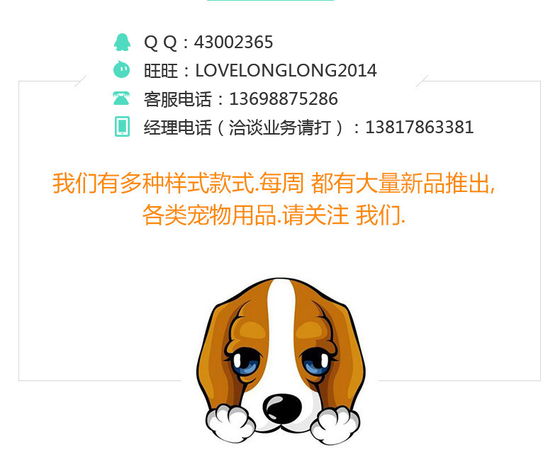 联系我们图片