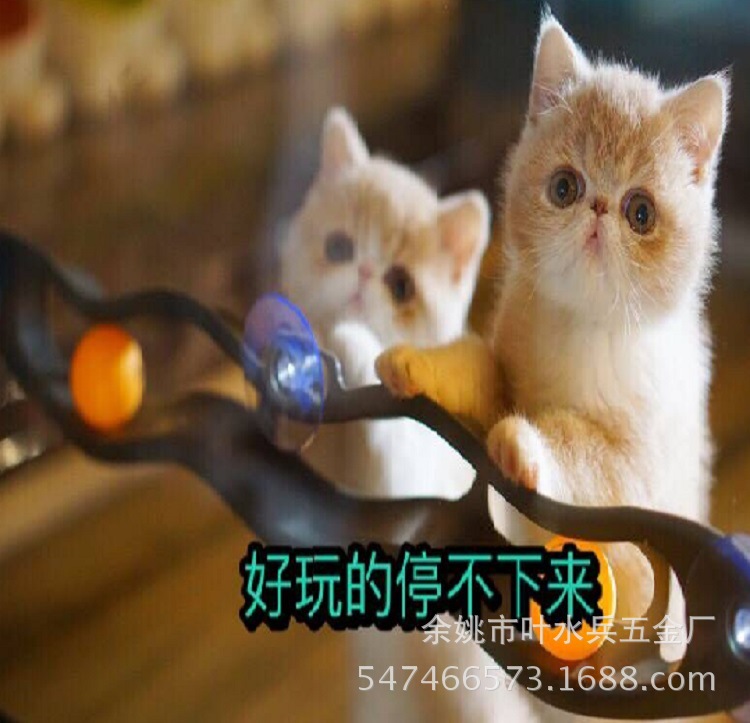 QQ图片20180502192558