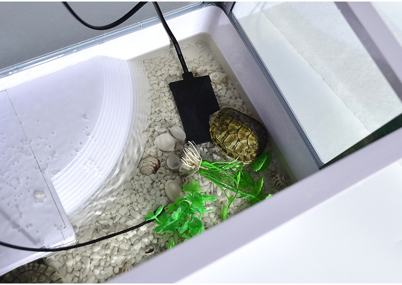 TB2D9CNcGLN8KJjSZFvXXXW8VXa_!!