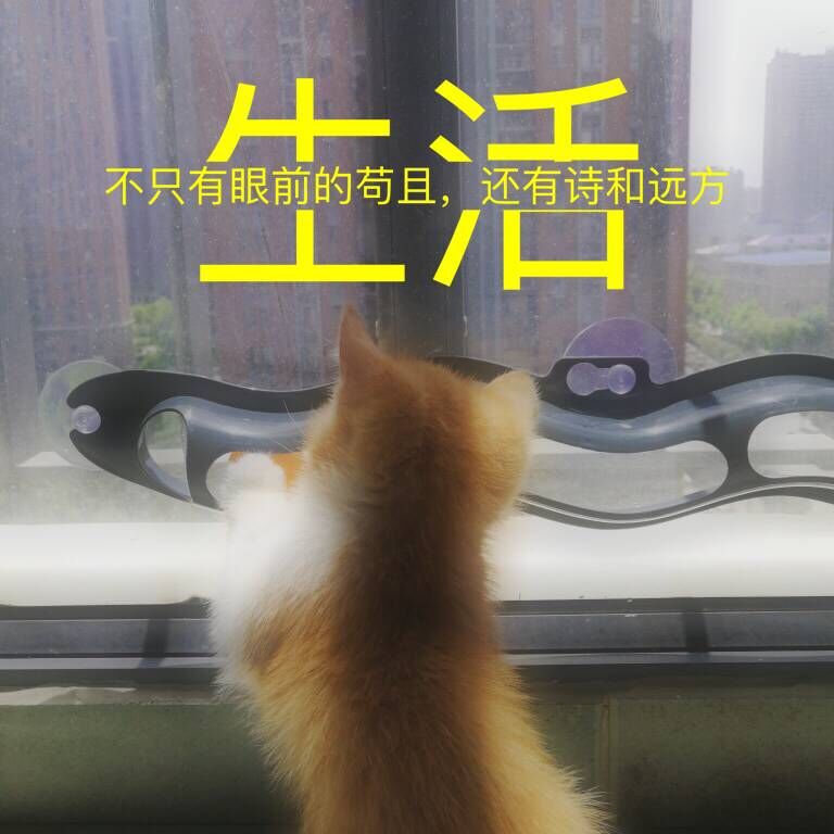 QQ图片20180502192817