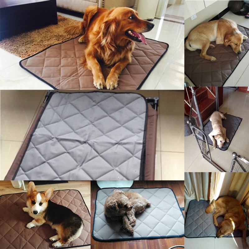 HTB1fiG+vtjvK1RjSspiq6AEqXXa7