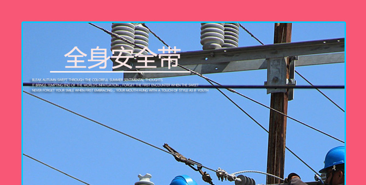 LPT涤纶五点式带详情_01.jpg