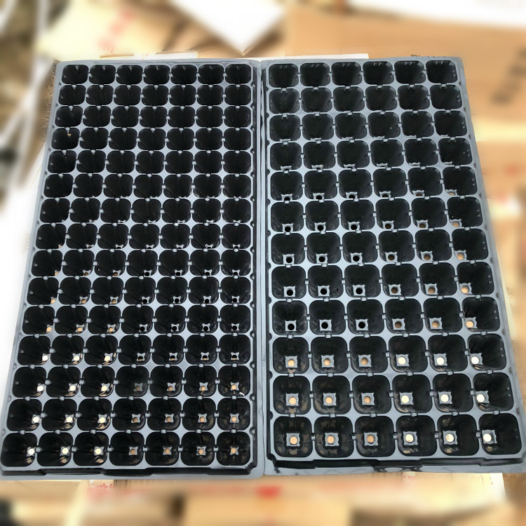 F1A256E22D128493D99F5C8CDEB2AB