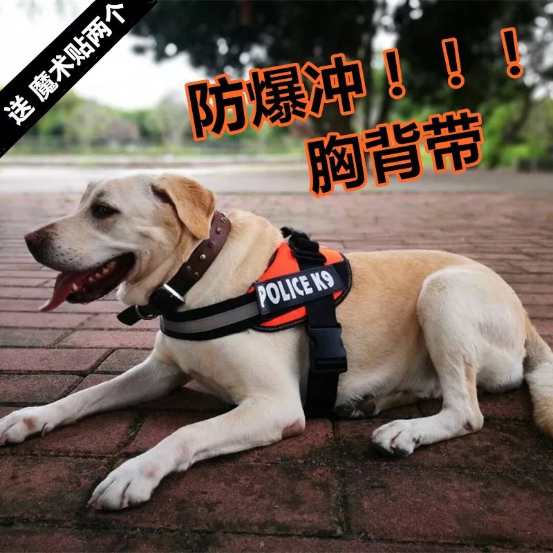 新建文件夹 (9)IMG_0586