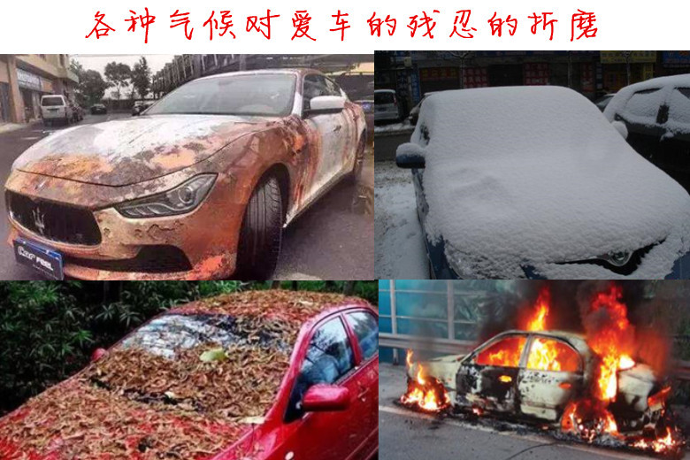 未命名_副本