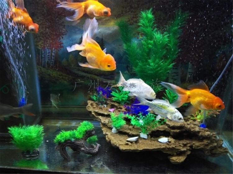 imagelock:3;k:r;s:J/x3zZmo8SxWIF8LKShyvD7nNAkN64SY0kuO8+3Jl0NZbWUK7Zfy74lT5g6MGqvssYlIZnR1sBLv40Apc2uxaytA8On1zpofYXeEwRLU2EHX+TT5OXoqhuxkSLB8xjcw