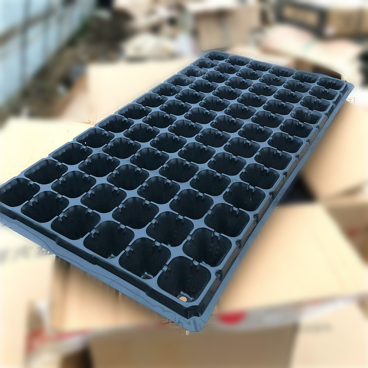 04447E26362184E8C3B042E1D67942