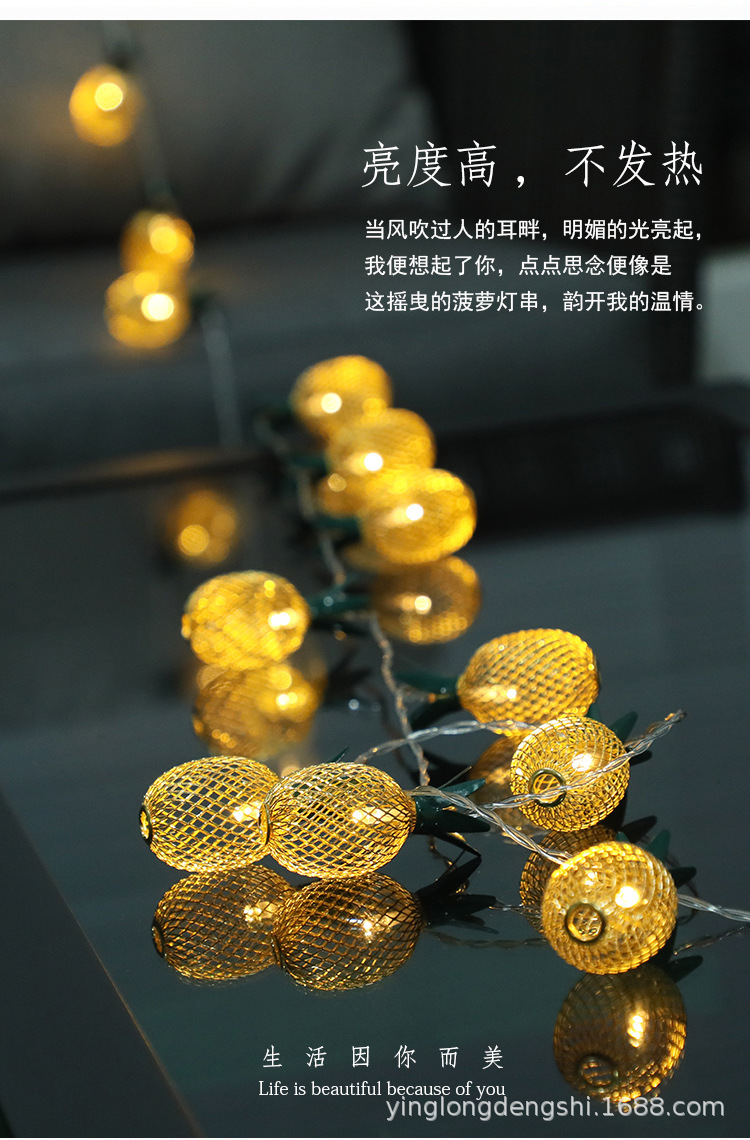菠萝灯串_06.jpg