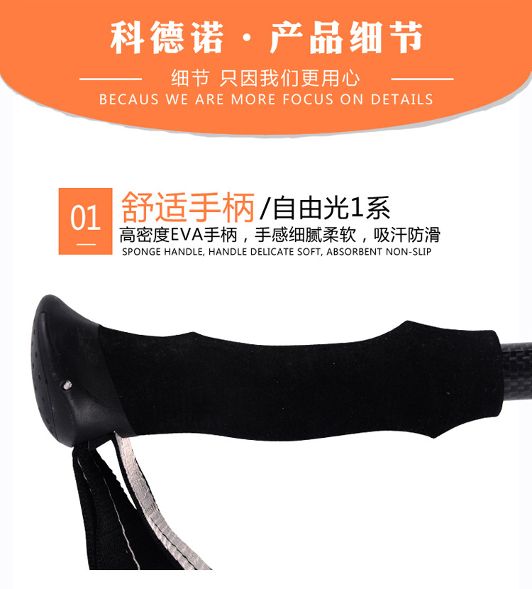 自由光1系 (30).jpg