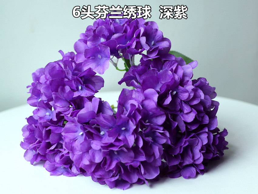 IMG_0123_副本_副本