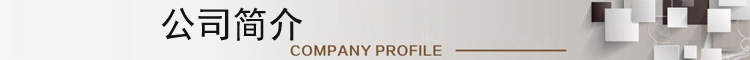 公司简介副本