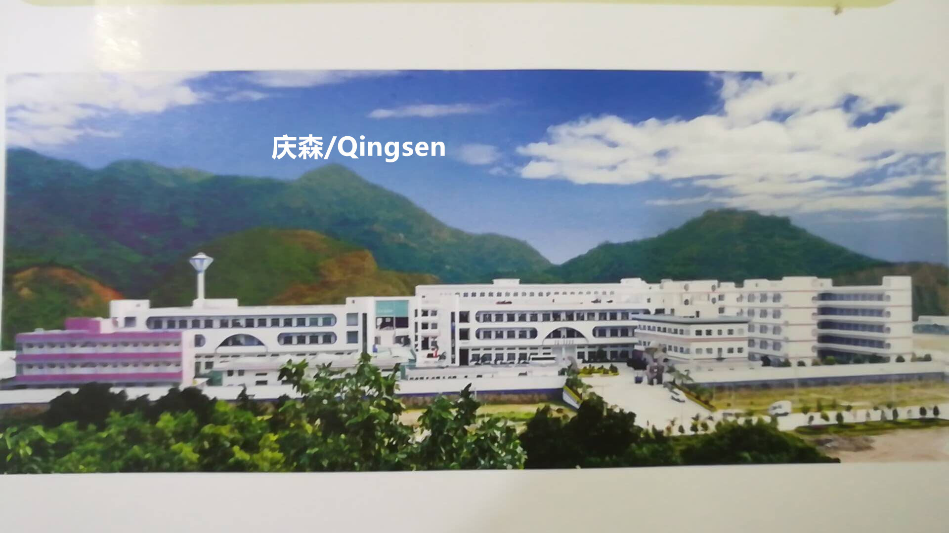 49508385258147703_副本