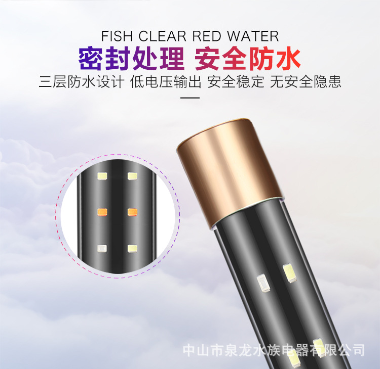 龙鱼灯_06.jpg