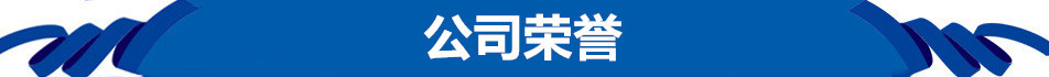公司荣誉.jpg