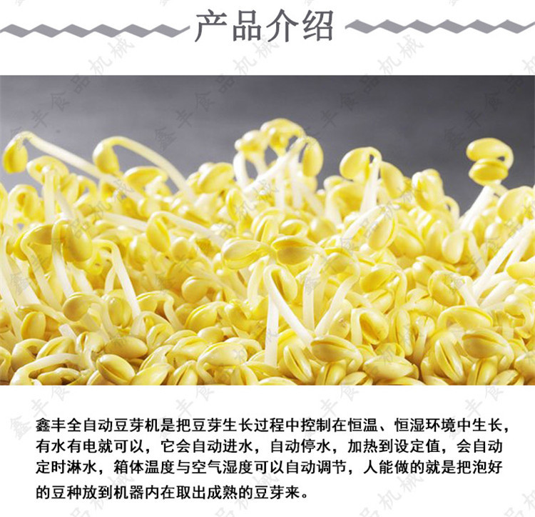 豆芽机厂家直销