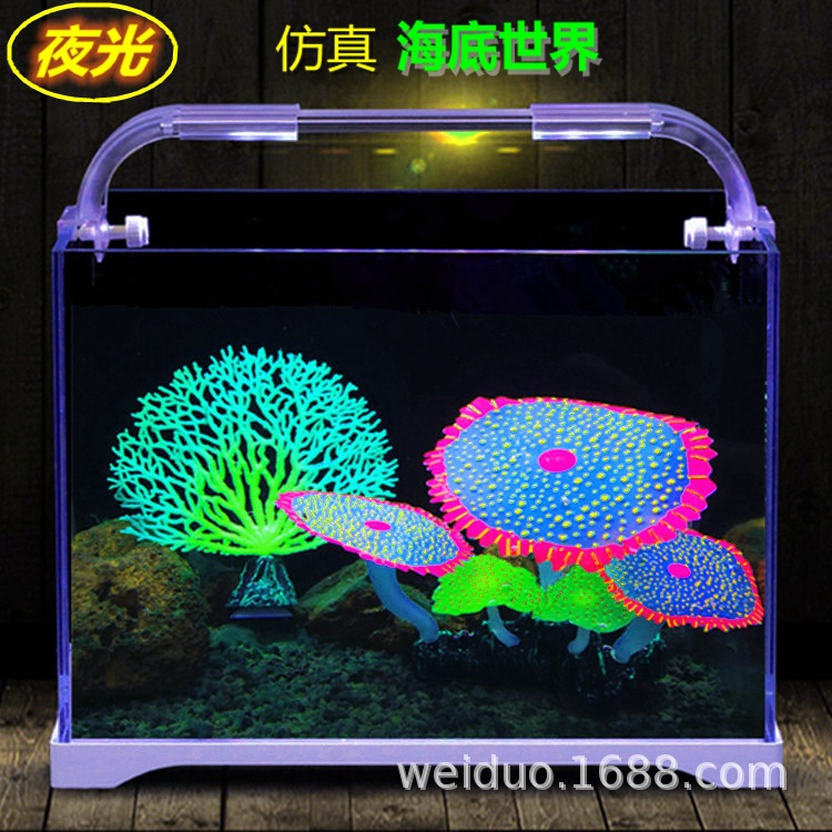 大海葵珊瑚 主图.jpg