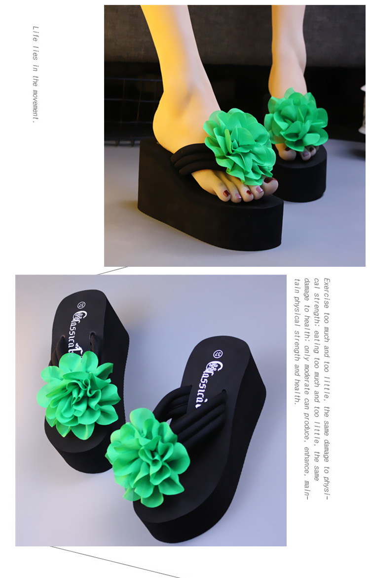 TB2jNGhigRkpuFjy6FXa_!!2375384