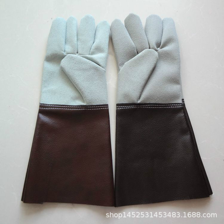 DSC01842_副本3_meitu_3