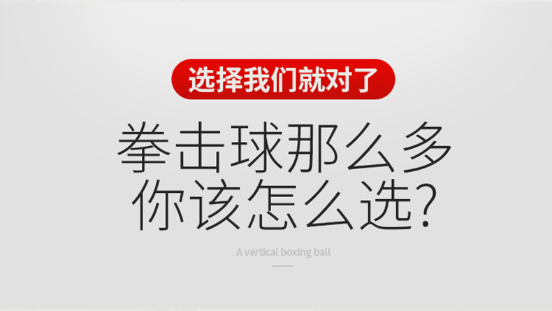 3拳击详情_09 副本.JPG