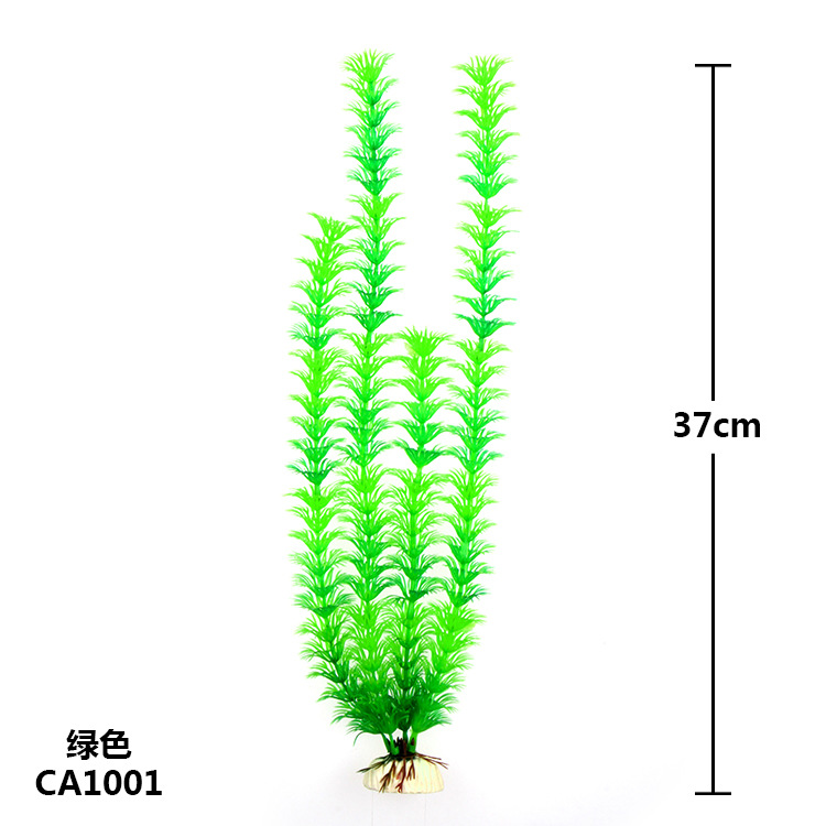 CA1001.JPG