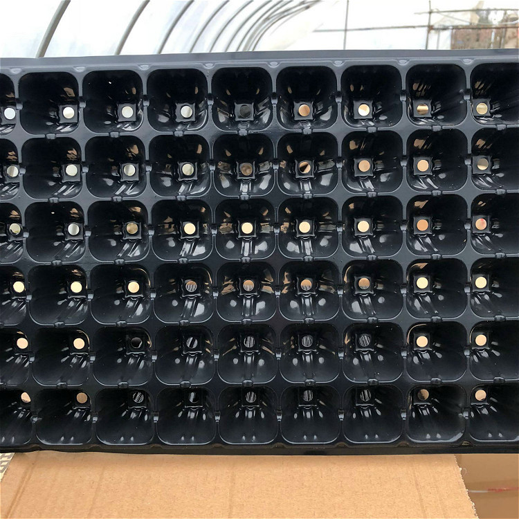 BA6E2BB9F25C7E3EBB0E164B7B5D09