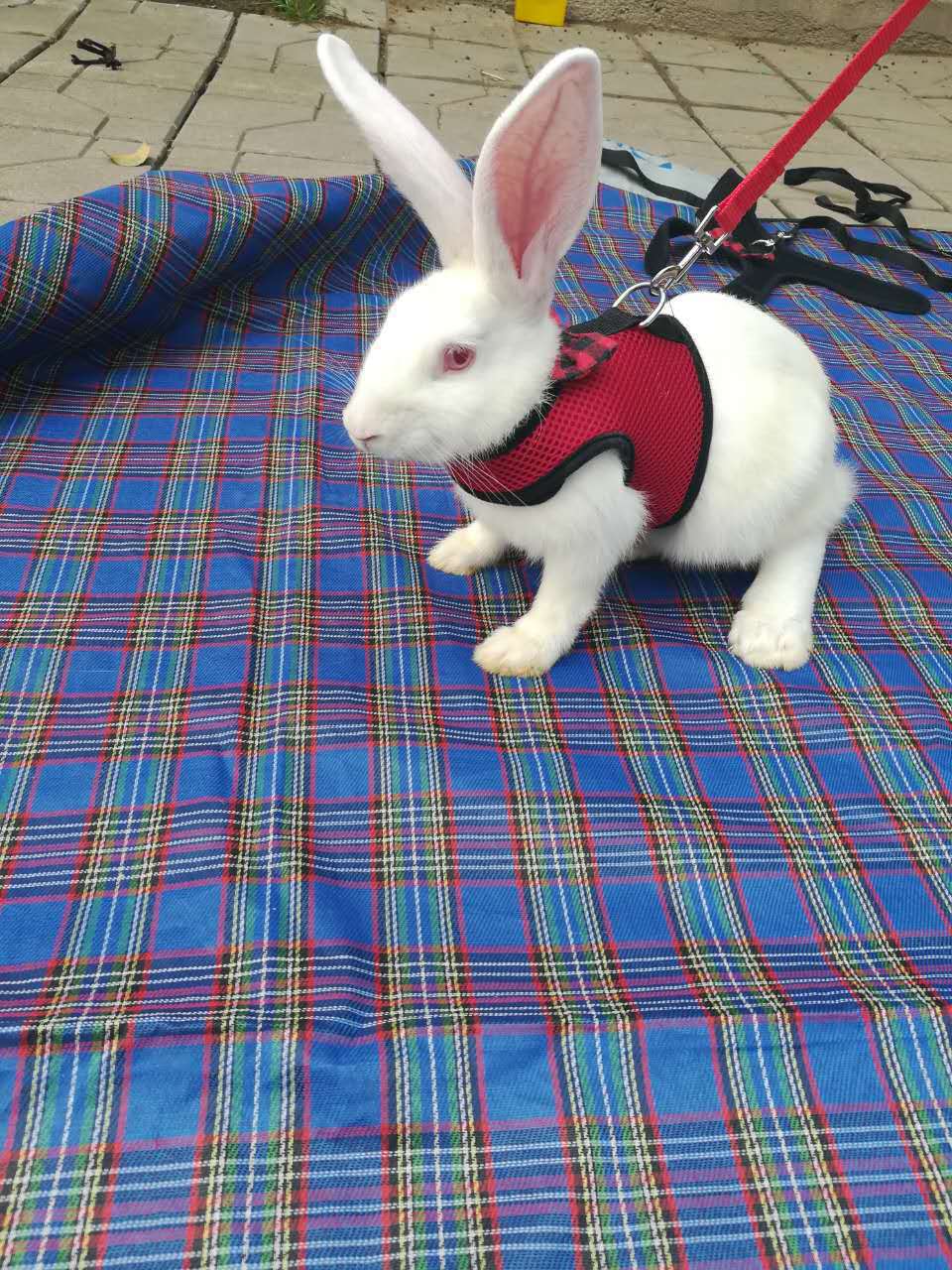 6F99DD867829FA8C90890C04304AFF