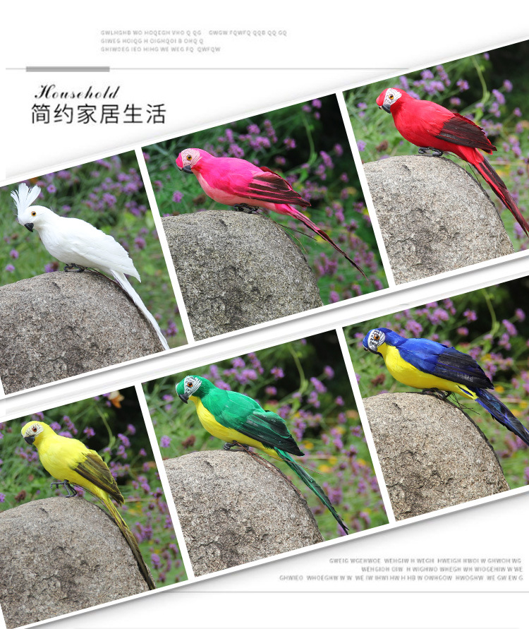 鹦鹉、_16.jpg