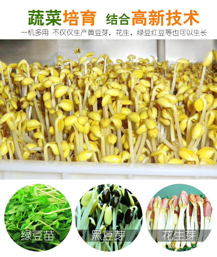 豆芽机无需人工