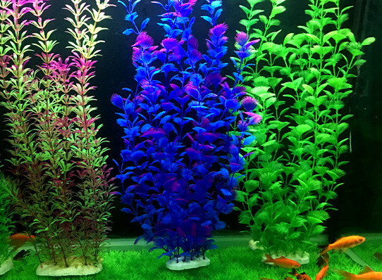 WeChat 圖片_20181203230414