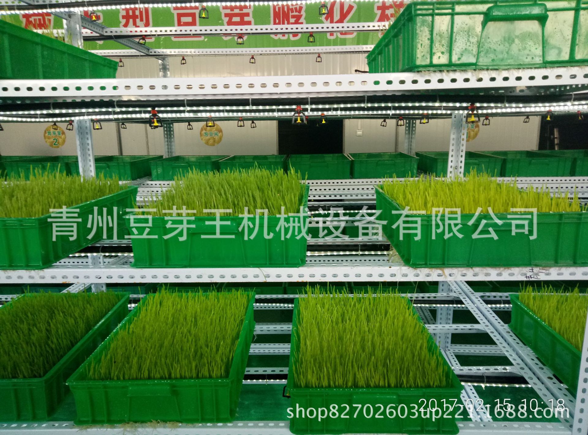 手机相册P70215-101806