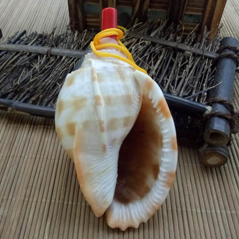 图片_20180119192521_副本