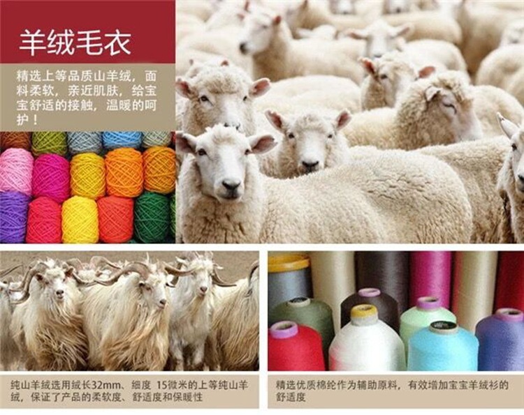 羊图.jpg