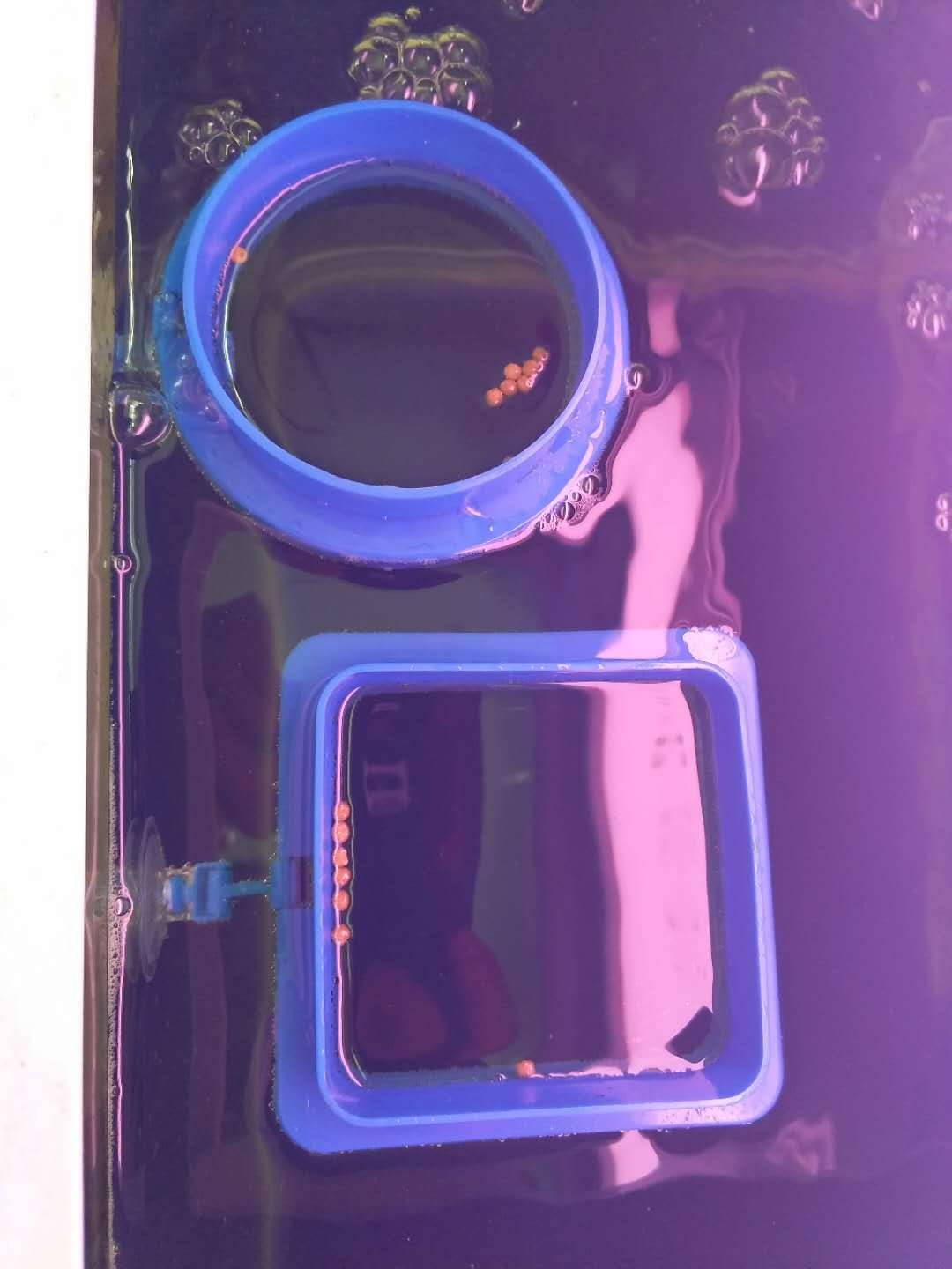 微信图片_20180418153944