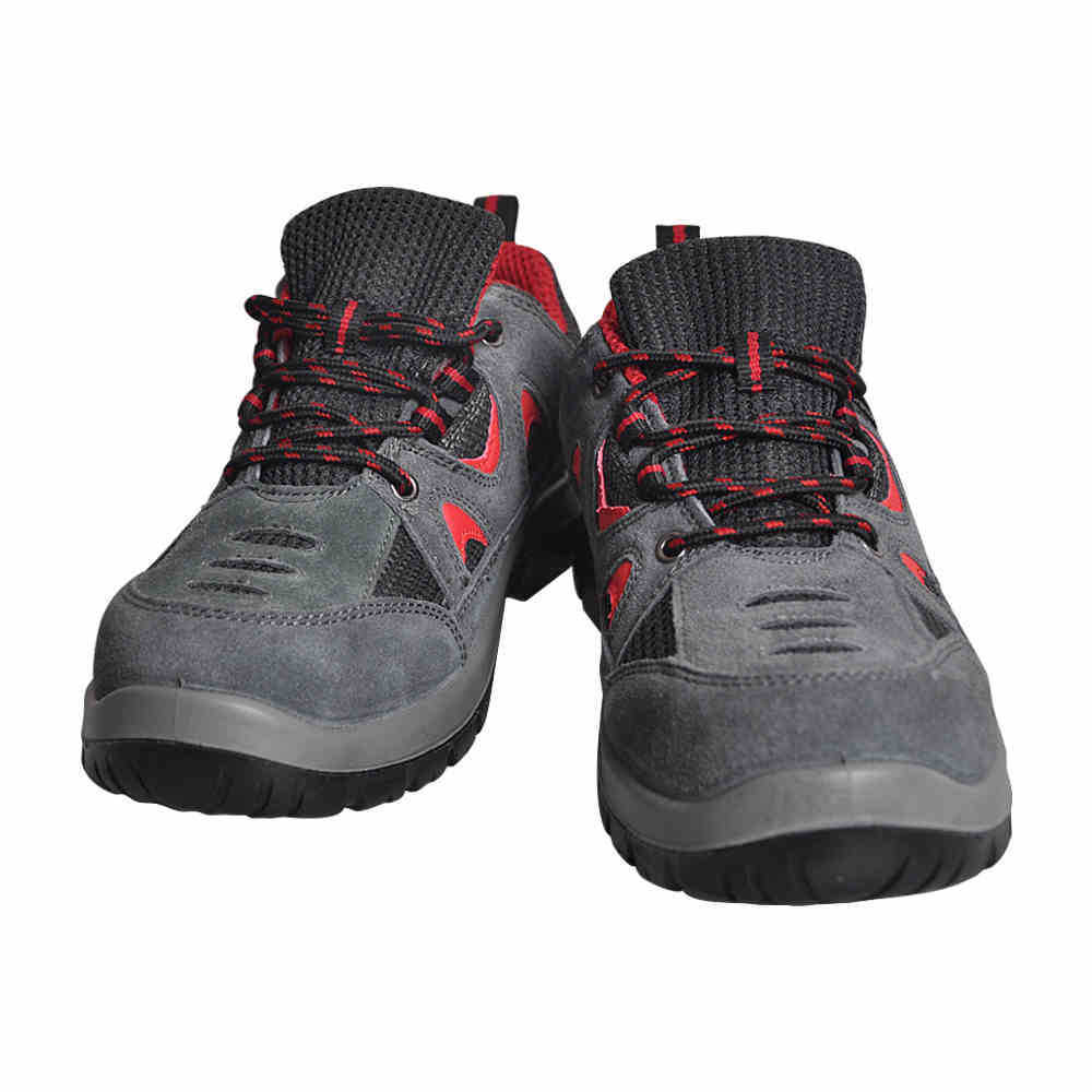 3859636030_805392689