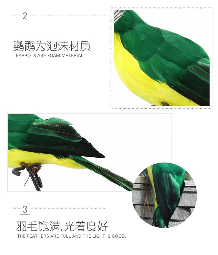 鹦鹉、_08.jpg
