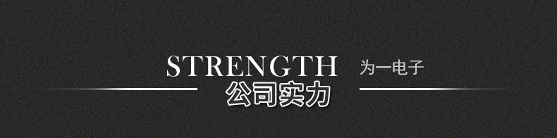 公司实力