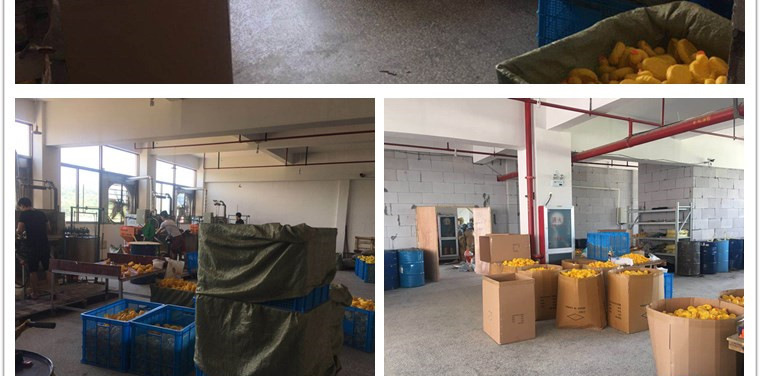 实地工厂展示_03