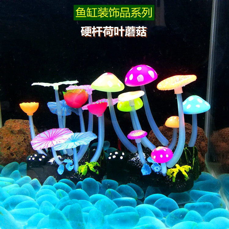 硬杆荷叶蘑菇主图