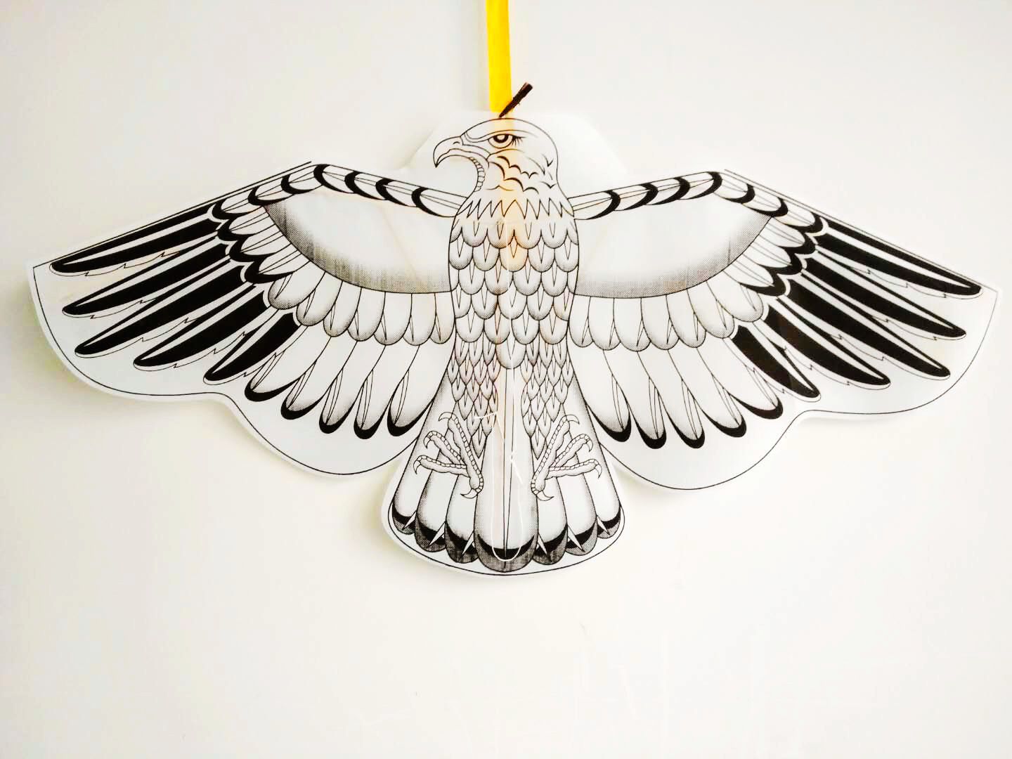 3333.jpg?x-oss-process=image/format,png