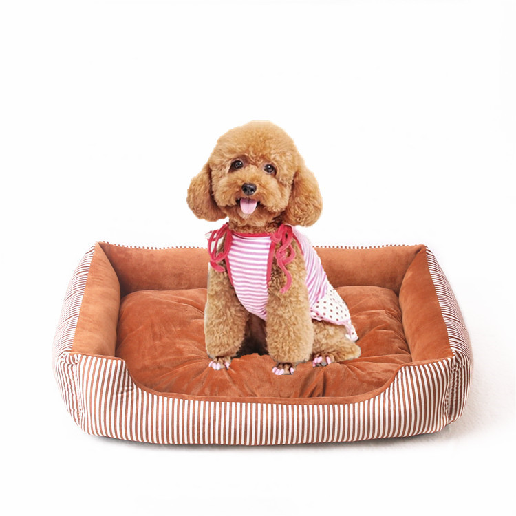 橘黄色条子_副本2