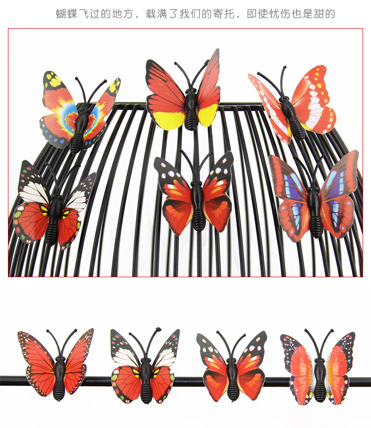 蝴蝶1_14.jpg