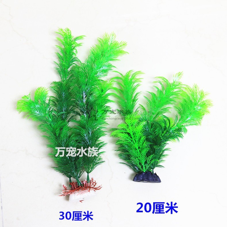 imagelock:3;k:r;s:J/x3zZmo8SxWIF8LKShyvD7nNAkN64SY0kuO8+3Jl0NZbWUK7Zfy74lT5g6MGqvsPxI8puvKz7BhPSezJx/af/2f3xMiBHGdjUS0y8yqLzbXGN1+DOgQc6HfuEDJVi6a