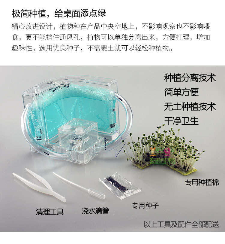 蚂蚁家园双拱桥详情描述PSD_06