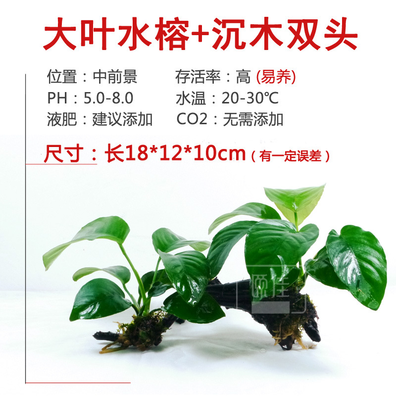 ?1?7?1?7?0?0?1?7?0?5?1?7?0?6?0?5?0?5