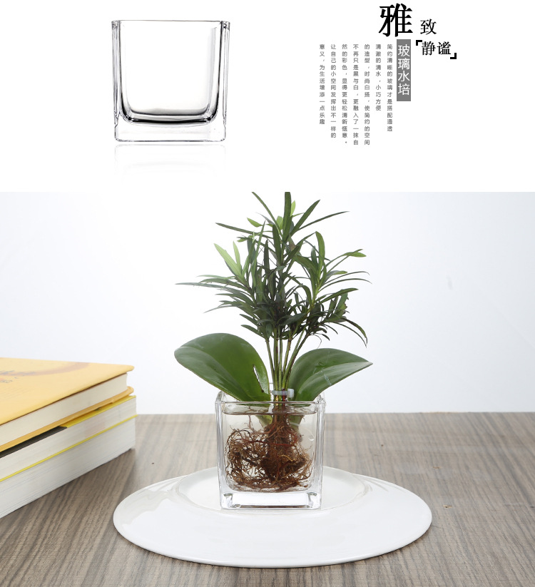 透明方缸详情_04.jpg?x-oss-process=image/format,png