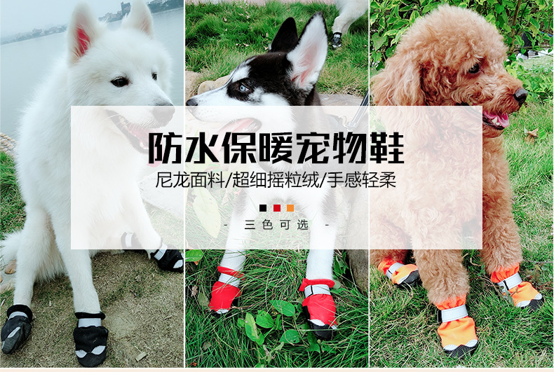 宠物鞋-790px_01.jpg